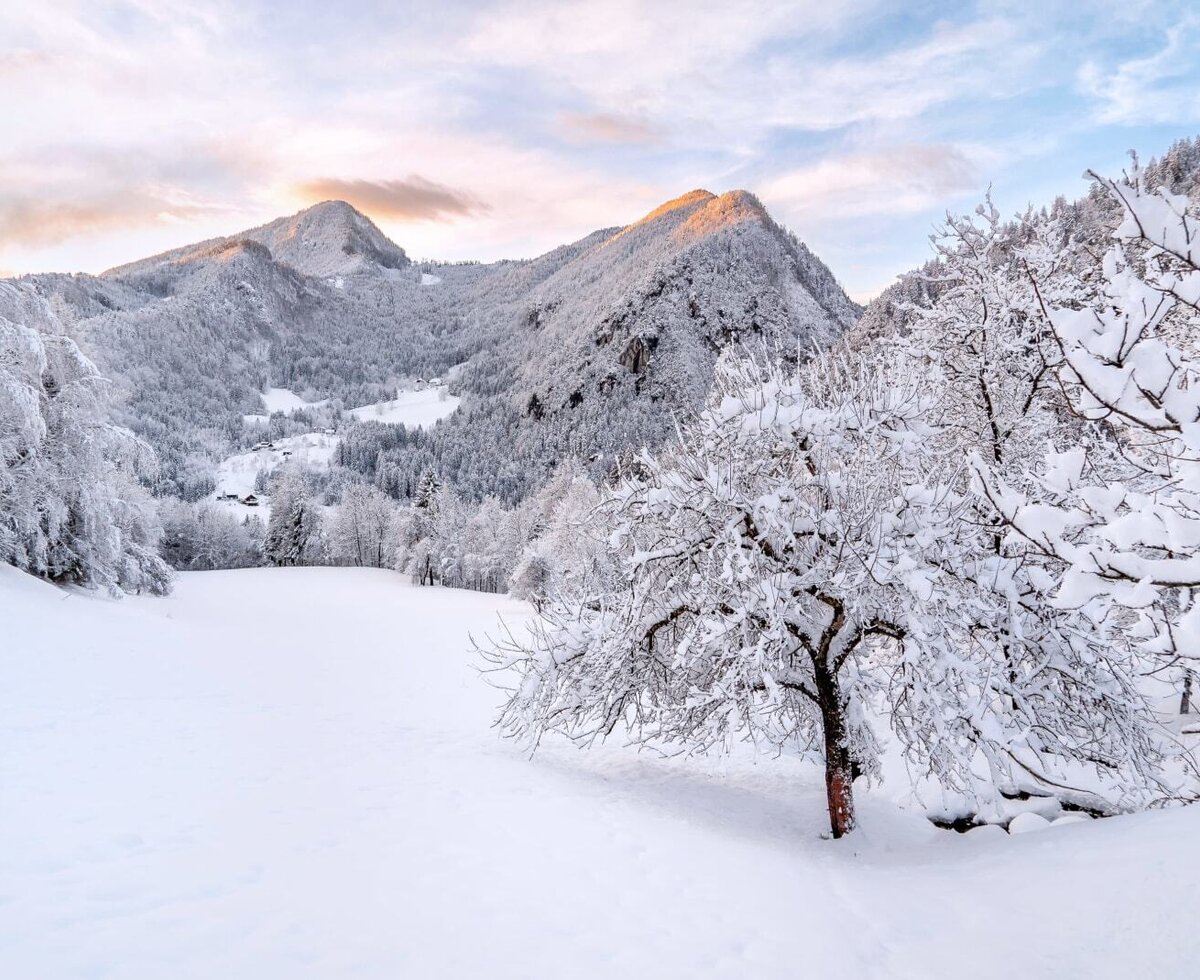 Winterlandschaft am Arlitscherhof_Jürgen Lamprecht