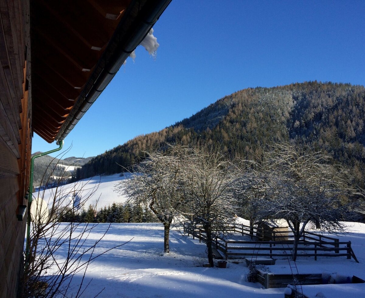 Umgebung - Garten