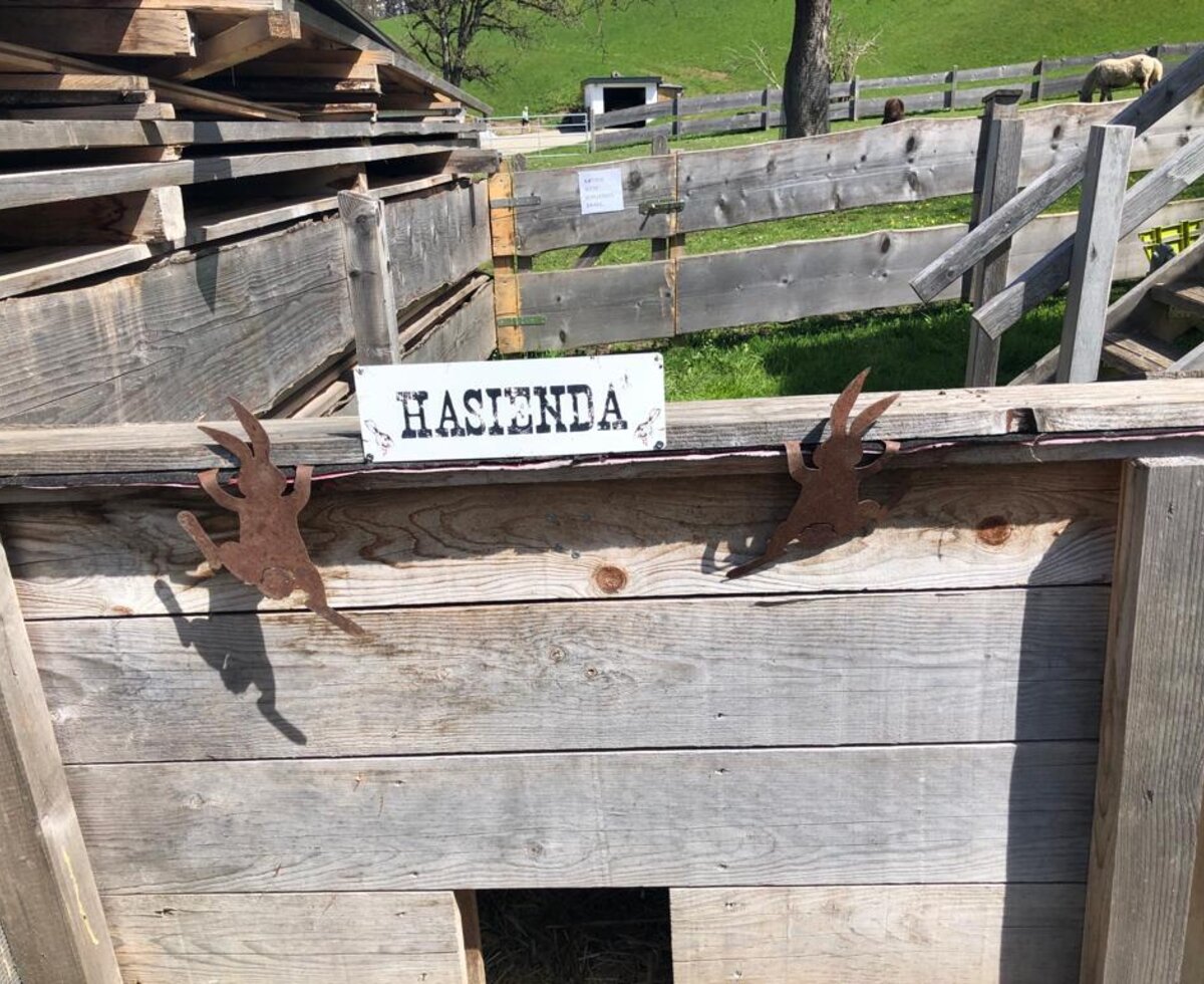 Der Hasenstall "Hasienda" auf dem Bauernhof, umgeben von einem Zaun, hinter dem Schafe weiden.