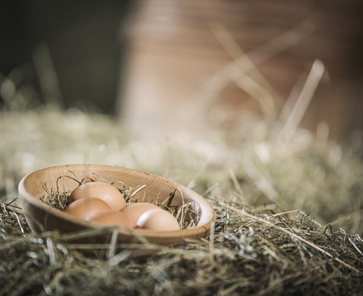 Frische Eier in einer Holzschale auf Heu, Teil der echten Bauernhoferlebnisse auf dem Bauernhof.