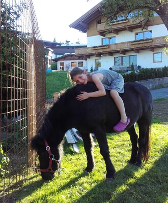 Pony