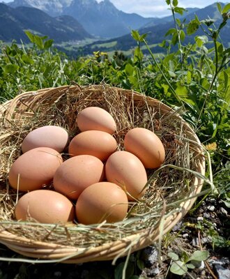 Frische Eier