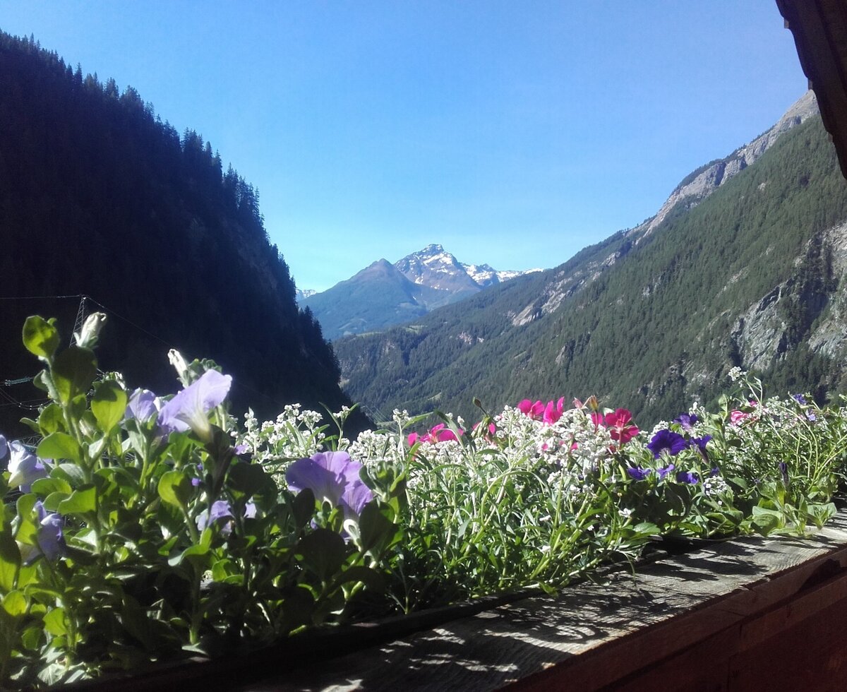 Ausblick vm Rieplerhof in den Nationlapark Hohe Tauern