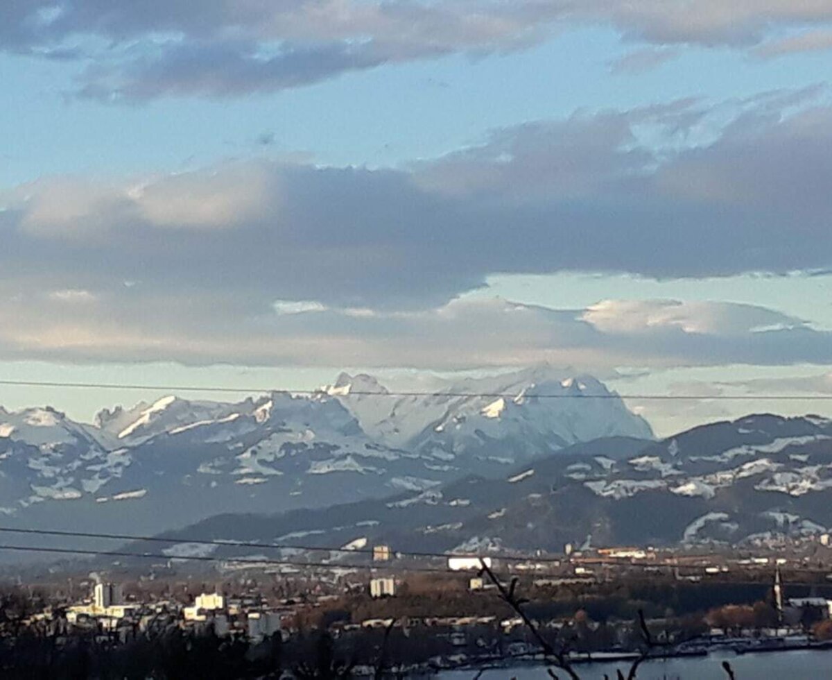 Blick zu den Schweizer Bergen